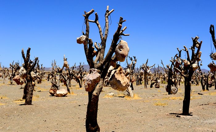 Stone Garden Sirjan Kerman