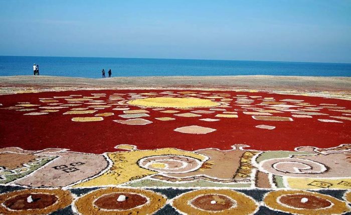 soil-carpet-Hormuz-Island