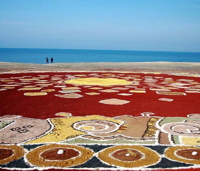 soil-carpet-Hormuz-Island